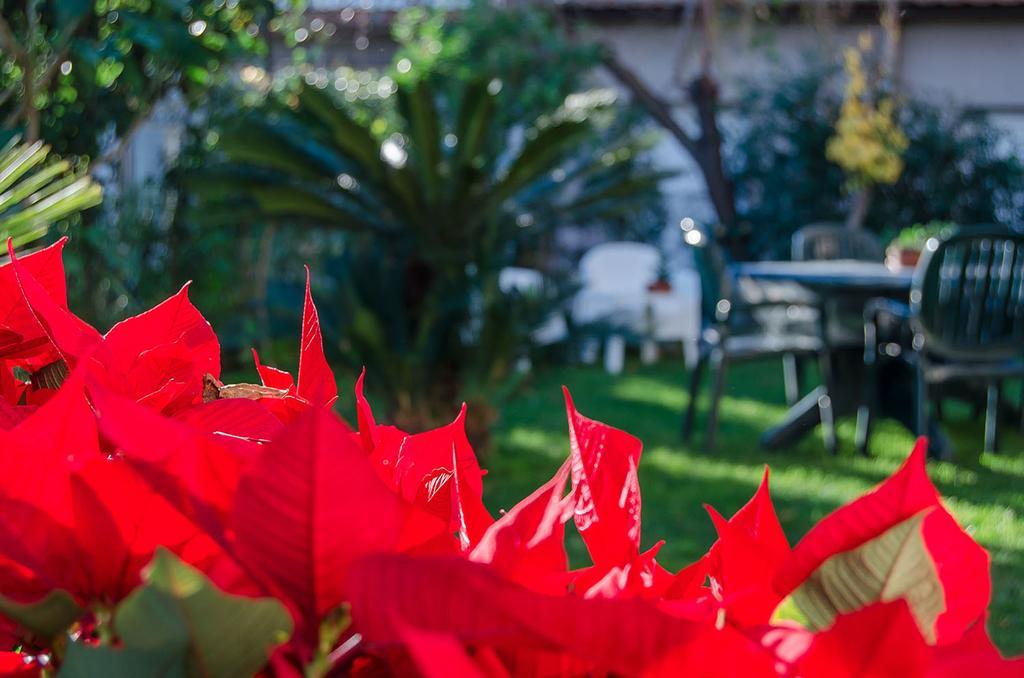 Appartamento House Etna View Mascali Esterno foto